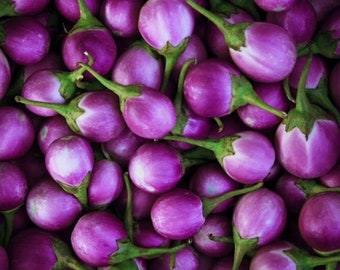 100 Thai purple Eggplant seeds