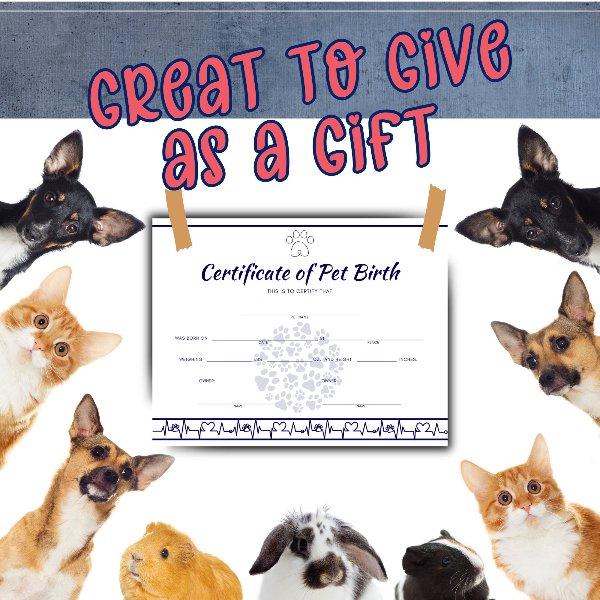 PRINTABLE Pet Birth Certificate 5 Certificates for - Etsy