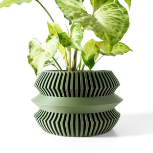 Uldol Planter Pot with Drainage and Tray | Planter for Succulents | 3 4 5 6 7 Inch Opening | Terra de Verdant