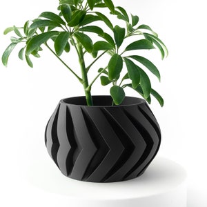 Manse Planter Pot with Drainage and Tray | Planter for Succulents | 3 4 5 6 Inch Opening | Terra de Verdant