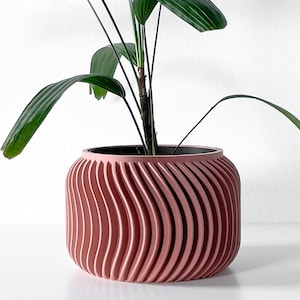 May include: A pink ceramic planter with a wavy, ribbed design. A green plant is growing inside the planter.