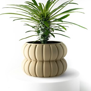 Yanor Planter Pot with Drainage and Tray | Planter for Succulents | 3 4 5 6 7 Inch Opening | Terra de Verdant