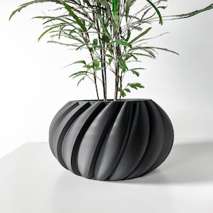 Puede incluir: Un macetero redondo negro texturizado con un diseño de espiral. Una planta verde con hojas largas y delgadas está creciendo en el macetero.