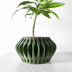 May include: A green, geometrically patterned planter with a single green plant growing out of it.