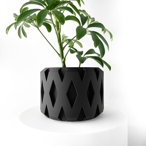 Puede incluir: Una maceta negra con un diseño geométrico de rombos. La maceta está llena de una planta verde de hojas.
