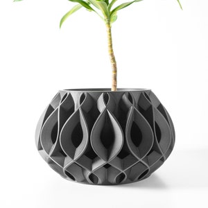 Viris Pflanztopf mit Drainage und Tablett | Übertopf für Sukkulenten | 3 4 5 6 Zoll Öffnung | Grüne Erde