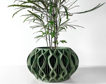 Octa Planter Pot with Drainage and Tray | Planter for Succulents | 3 4 5 6 Inch Opening | Terra de Verdant
