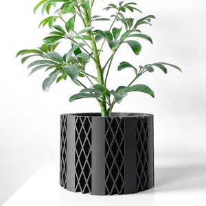 Arven Planter Pot with Drainage and Tray | Planter for Succulents | 3 4 5 6 7 Inch Opening | Terra de Verdant