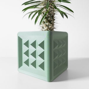 Puede incluir: Un macetero geométrico verde claro con un patrón triangular. Una pequeña planta de cactus está creciendo en el macetero.