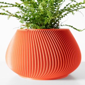 Jardinière Davi avec système de drainage et plateau | Jardinière pour plantes succulentes | Ouverture de 3 4 5 6 pouces | Terre de verdure
