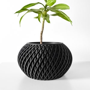 Pot de fleurs Kio avec drainage et plateau | Jardinière pour plantes succulentes | Ouverture de 3 4 5 6 pouces | Terre de verdure