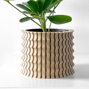 May include: A beige ceramic planter with a wavy, textured design. The planter is filled with a green leafy plant.