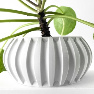 Alden Pflanztopf mit Drainage und Tablett | Übertopf für Sukkulenten | 3 4 5 6 7 Zoll Öffnung | Grüne Erde