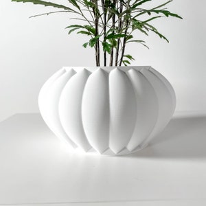 Sora Pflanztopf mit Boden und Ablauf | Übertopf für Sukkulenten | 3 4 5 Zoll Öffnung | Grüne Erde