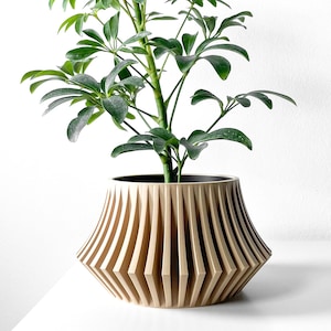 May include: A light brown, geometric planter with a ribbed design. A green leafy plant is growing in the planter.