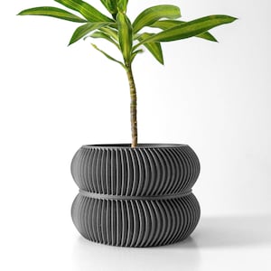Miko Planter Pot with Drainage and Tray | Planter for Succulents | 3 4 5 6 7 Inch Opening | Terra de Verdant