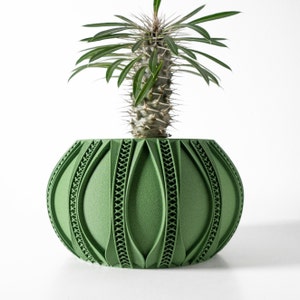 Jardinière avec système de drainage et plateau Ryne | Jardinière pour plantes succulentes | Ouverture de 3 4 5 6 pouces | Terre de verdure