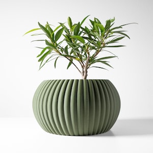 Op de afbeelding: Een groene keramische pot met een geribbeld ontwerp, met een kleine groene plant met weelderig gebladerte.