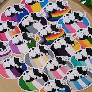 Black + White Cat Sticker | LGBTQA+, Pride, Rainbow, Lesbian, MLM, Bisexual, Pansexual, Aromantic, Asexual, Transgender, Nonbinary
