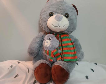 Papa and Bean the Teddy Bear Duo from Publix!