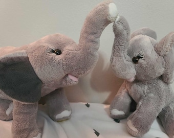 Sunny and Olive: A Mother-Daughter Elephant Pair!