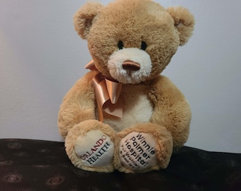 Raymond the Rambunctious 15" Orlando Health Teddy Bear!