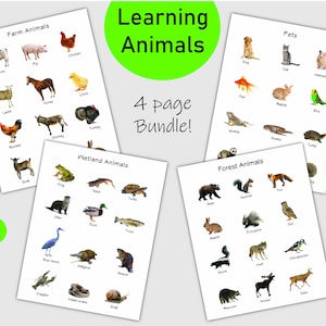 Diferentes tipos de animales aprendiendo páginas impresas, mascotas, animales de granja, animales de humedales, animales de bosque, animales de aprendizaje por imágenes, niños
