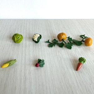Könnte beinhalten: Eine Sammlung von Miniatur-Plastikgemüse, darunter ein grüner Kohl, ein weißer Blumenkohl, ein gelber Maiskolben, eine rote Rübe, eine orange Karotte und zwei orangefarbene Kürbisse mit grünen Ranken.