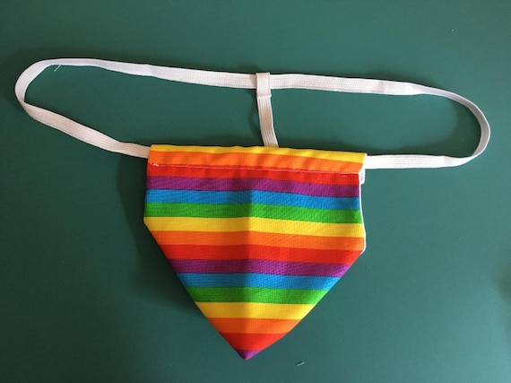 Mens RAINBOW Gay Pride String Thong Male Underwear