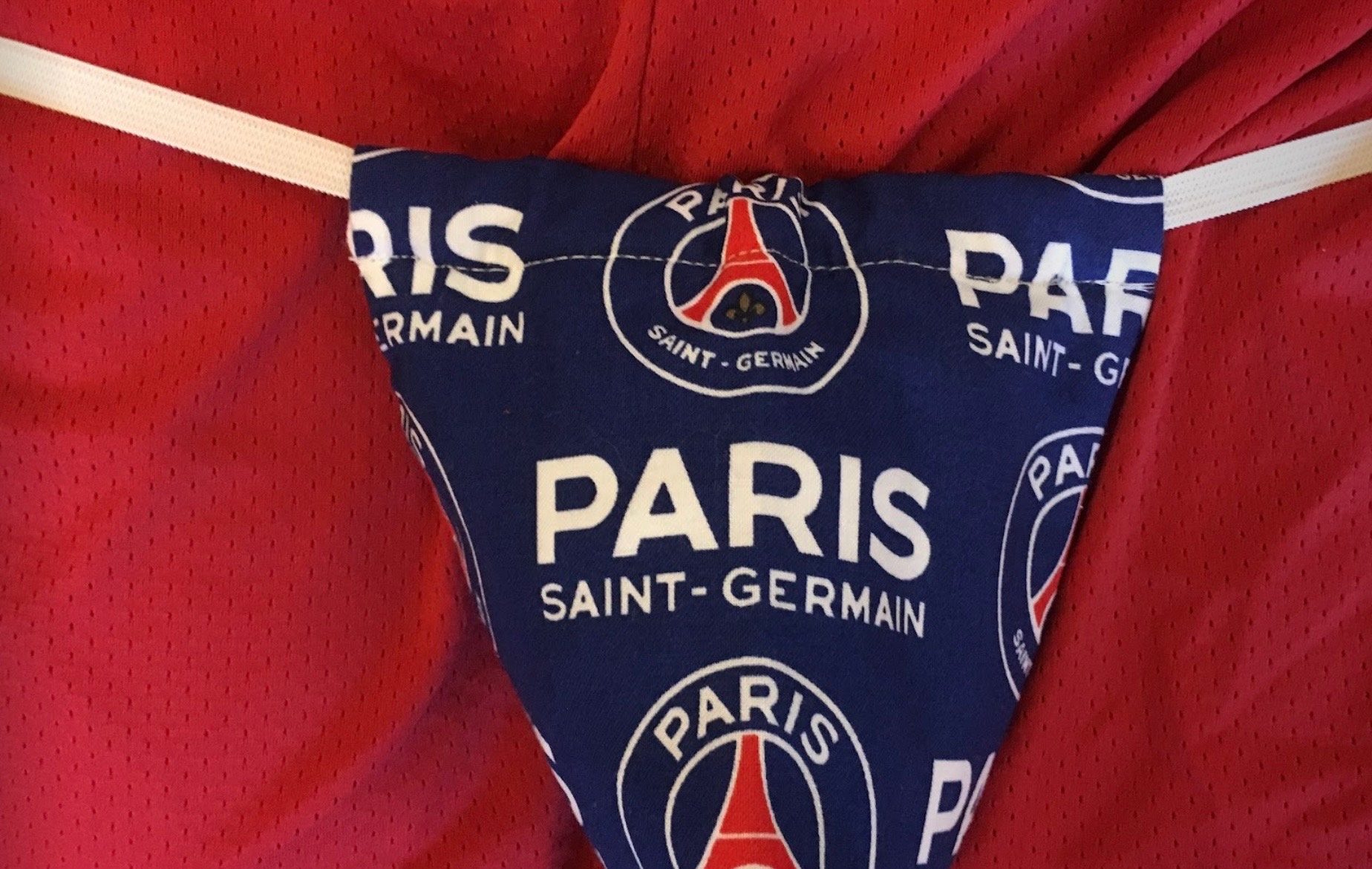 Official Paris Saint Germain PSG Football Building Puzzle Construction PZLZ  3D 