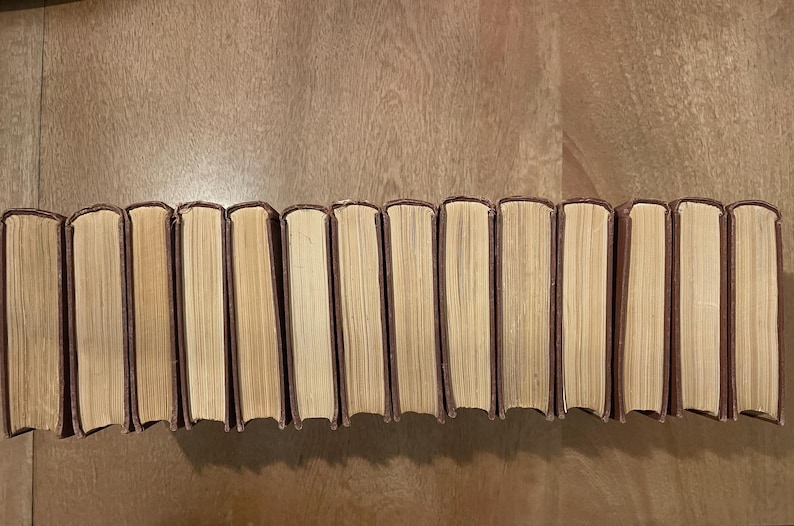 May include: A collection of hardcover books with brown spines and cream-coloured pages. The books are arranged in a row, with their spines facing upwards. The books are on a wooden surface, creating a neat and organised display.