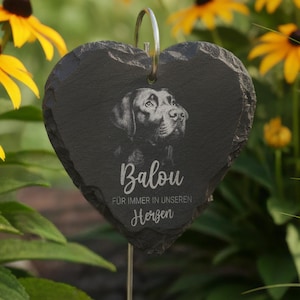 May include: A heart-shaped dark grey slate plaque featuring an engraved portrait of a dog and the text Balou FÜR IMMER IN UNSEREN Herzen. The plaque has a rough, natural edge and is suspended from a thin metal rod for display in a garden setting.