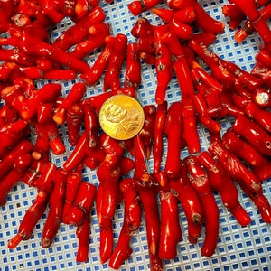 Red Coral Stick. Bamboo Coral. Sizes: A.45~55mm; B.35~44mm; C. 25~35mm. Top drilled 1.5 mm holes. Sold per Lot (10 PCs).