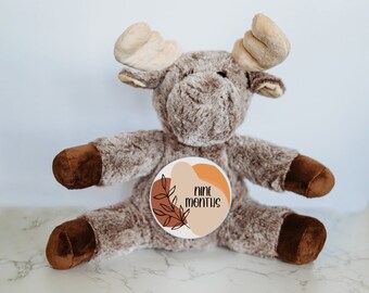 Baby Milestone Signs, Milestone Sign, Personalized Stuffed Animal, Monthly Milestones, Moose stuffed animal, Month Milestone Baby