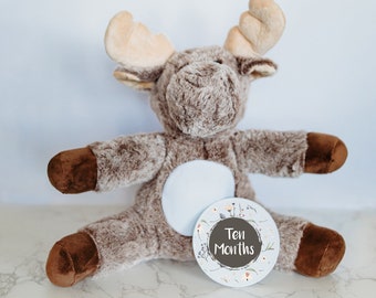 Baby's First Years Custom Monthly Milestone Tracker, Milestone Sign, Personalized Stuffed Animal, Monthly Milestones, Baby Name Announcement