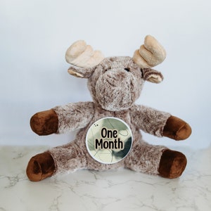 Cartes mensuelles interchangeables pour bébé, Idées cadeaux pour une fête prénatale, Peluche personnalisée, Événements marquants du mois, Souvenir de bébé
