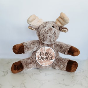 Carte d'étapes interchangeables pour bébé, peluche personnalisée, étapes importantes du mois, peluche orignal, prénom de bébé personnalisé, cadeau pour bébé