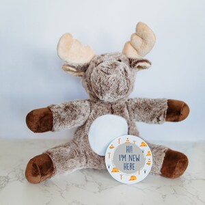 Cartes étape importante pour la première année de bébé, cadeau baby shower, cartes étape étape bébé interchangeables, faire-part de bébé, peluche personnalisée