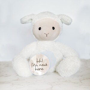 Tarjetas intercambiables con hitos del bebé, animal de peluche personalizado, hitos mensuales, animal de peluche de cordero, letrero con nombre de bebé personalizado, regalo para bebé