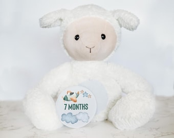 Baby Milestone Stuffed Animal with Interchangeable Monthly Signs