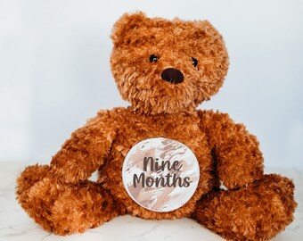Baby's First Years Custom Monthly Milestone Tracker, Milestone Sign, Personalized Stuffed Animal, Monthly Milestones, Baby Name Announcement