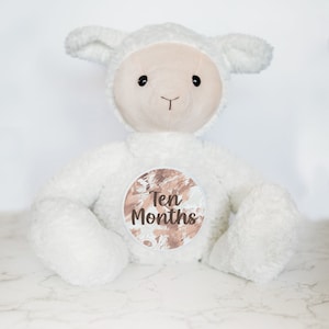 Rastreador de hitos mensuales para bebés, letrero de hitos personalizado para bebés, animal de peluche personalizado, ideas únicas para regalos de baby shower, tarjetas de hitos