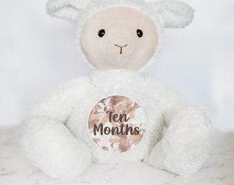 Baby Monthly Milestone Tracker, Custom Baby Milestone Sign, Personalized Stuffed Animal, Unique Baby Shower Gift Ideas, Milestone Cards