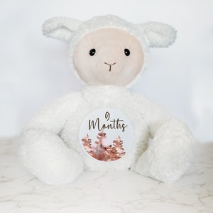 Peluche personnalisée nouveau-né, cadeau baby shower, cartes étape importante pour bébé, cadeau bébé personnalisé personnalisé, faire-part de nouveau-né
