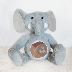 Cartes interchangeables jalon mensuel pour bébé, cadeau nouveau-né, faire-part de nom personnalisé jalon mensuel pour bébé, éléphant personnalisé