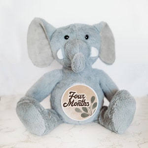 Ensemble d'étapes mensuelles personnalisées pour bébé, peluche personnalisée éléphant, souvenir de bébé, cadeau unique pour bébé, cartes d'étape mensuelle pour bébé