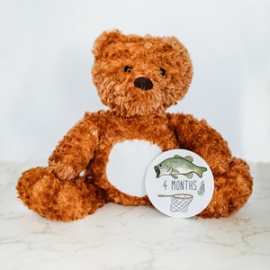 Cartes d'étape interchangeables pour bébé, panneau d'étape, cadeau pour un nouveau-né, jalons du mois, peluche ours, ours personnalisé, nom personnalisé
