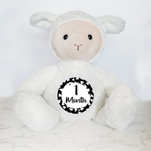 Cartes d'étape personnalisées pour la première année de bébé, cadeau baby shower, souvenir de bébé, marqueur de disques personnalisés jalon de bébé, peluche personnalisée