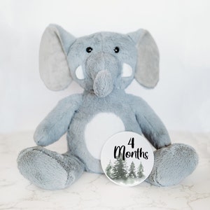 Cartes interchangeables personnalisées Jalon mensuel pour bébé, Jalon bébé, Faire-part bébé personnalisé, Peluche bébé éléphant personnalisée