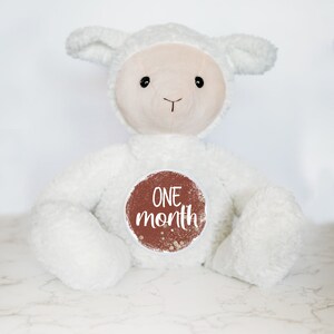 Cartes d'étape mensuelles interchangeables pour la première année de bébé, panneau d'étape importante pour bébé, peluche personnalisée, étapes importantes du mois